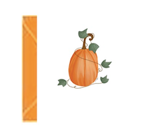 Pumpkin Enclosure Card
